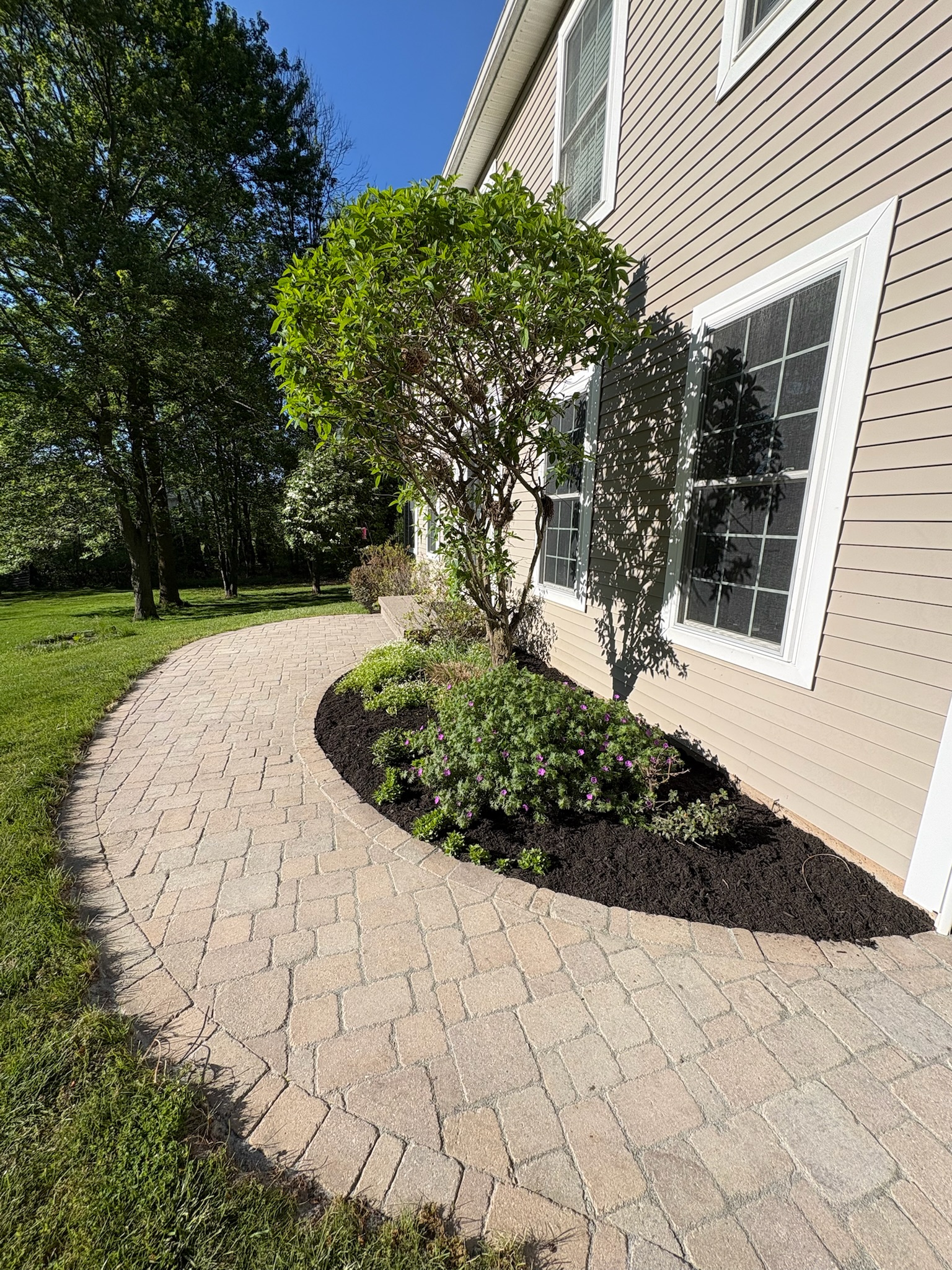 Paver path cleanup