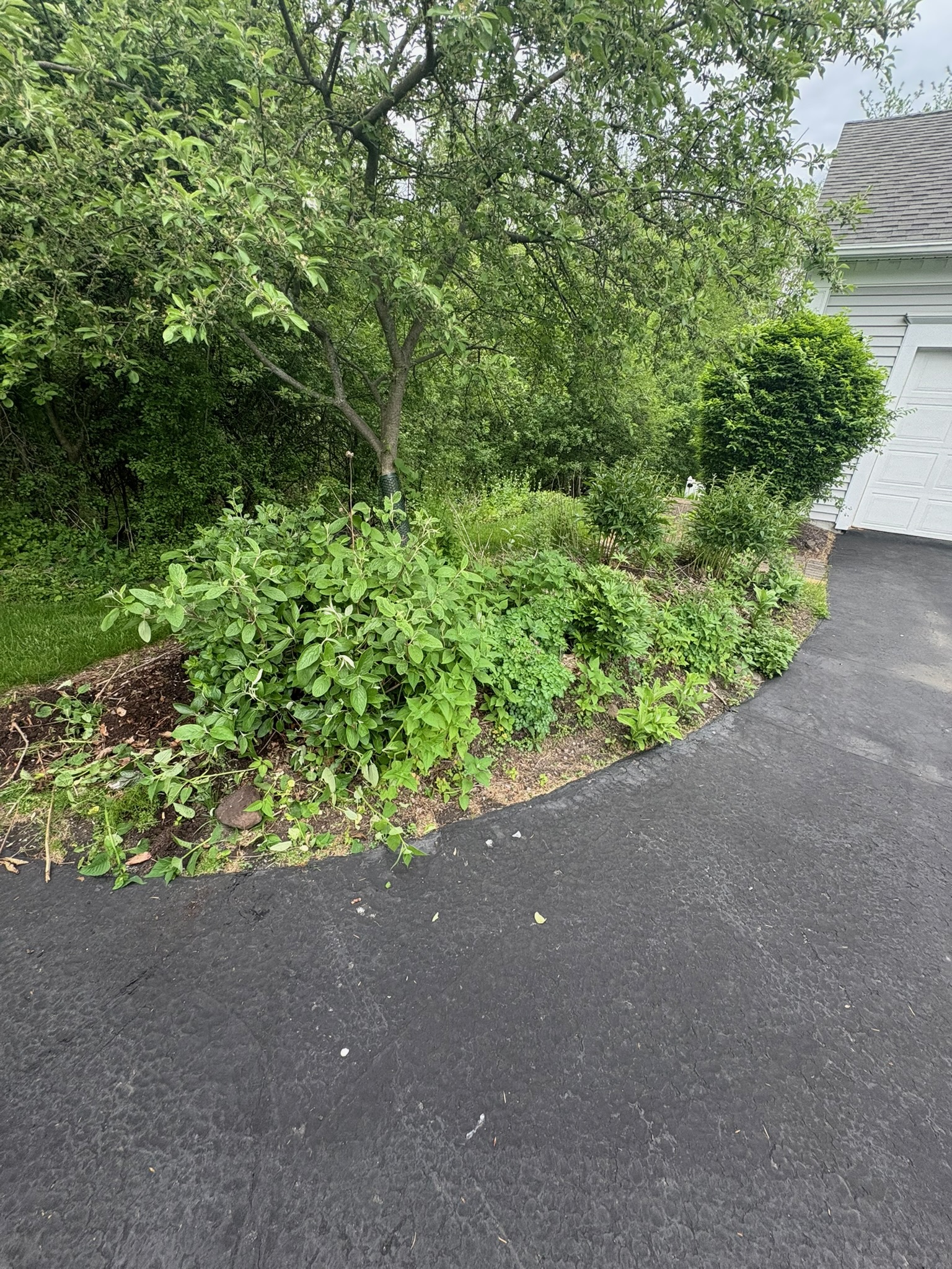 Rock border before